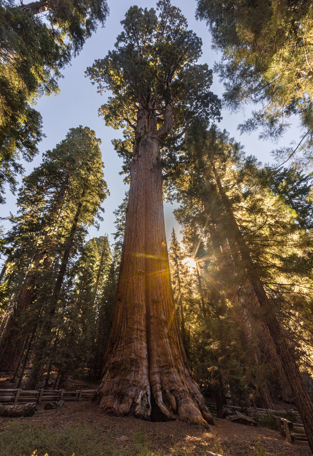 California Photo