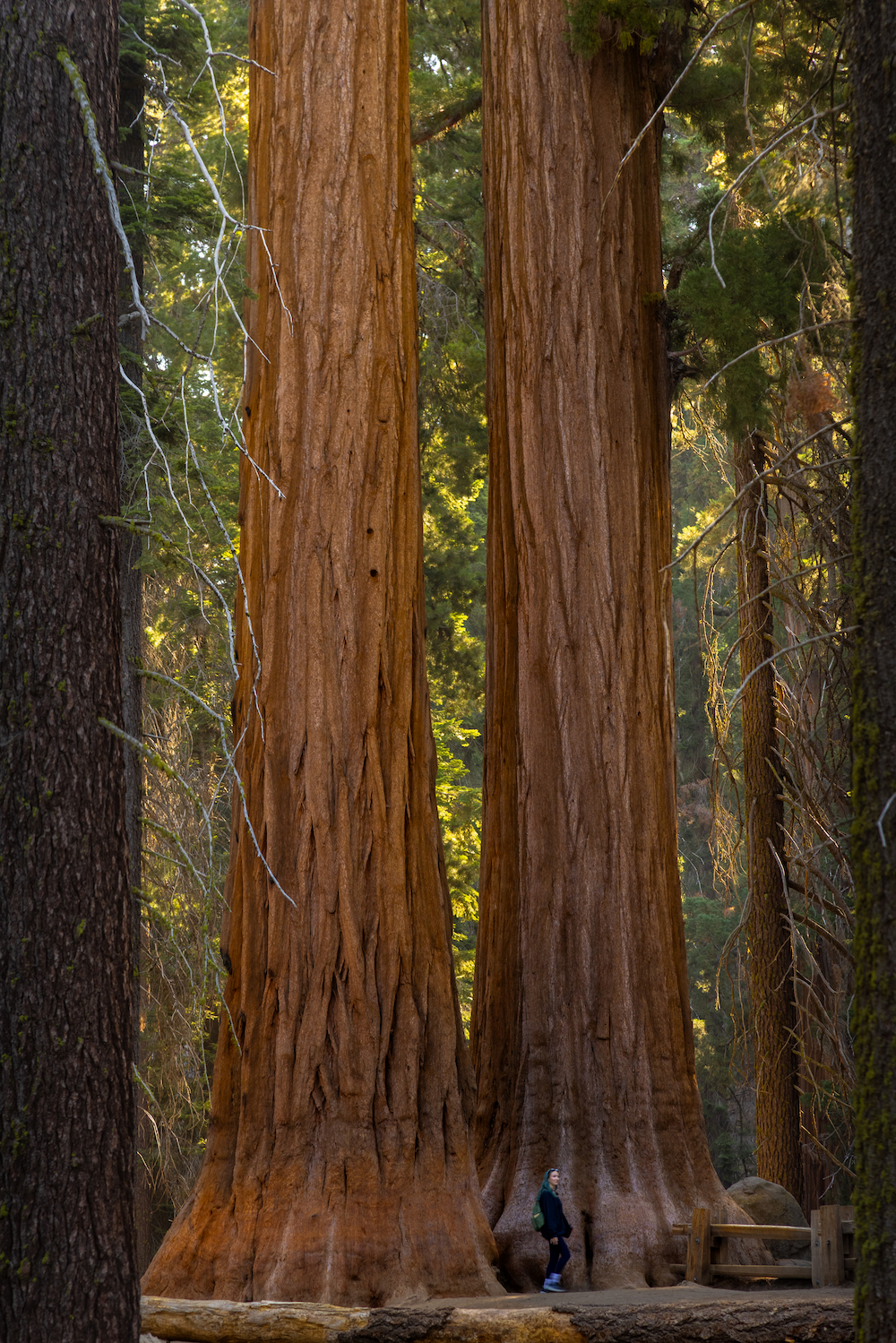 California Photo