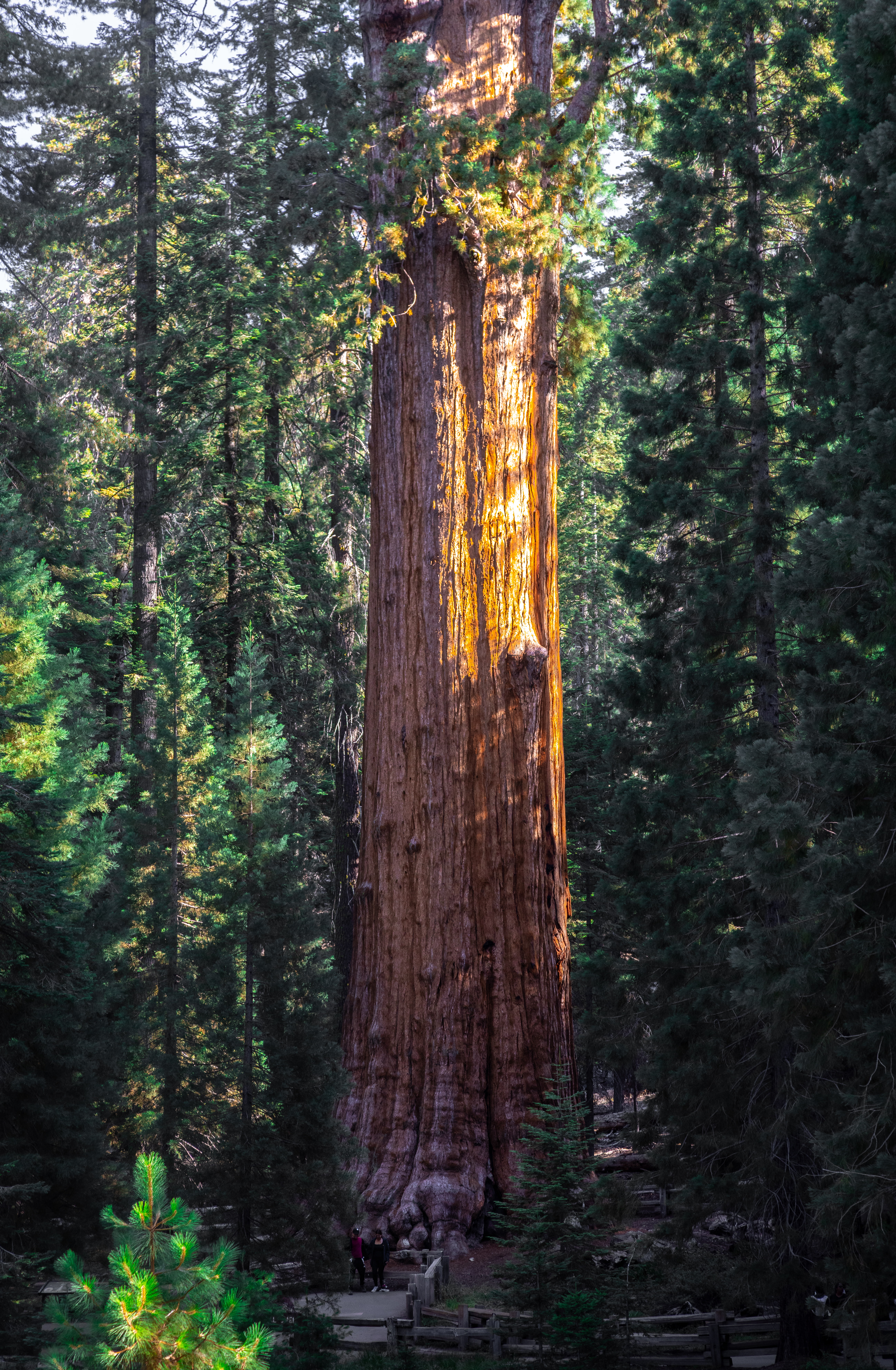 California Photo