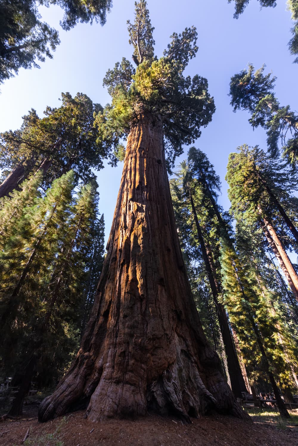 California Photo