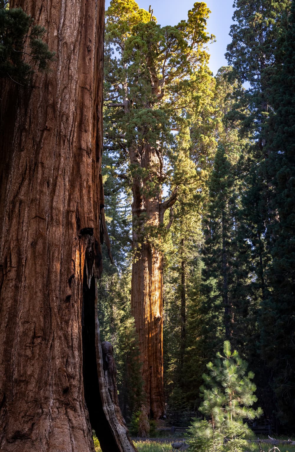 California Photo