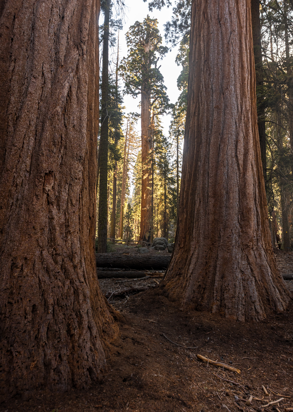 California Photo