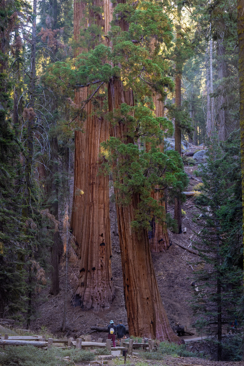 California Photo